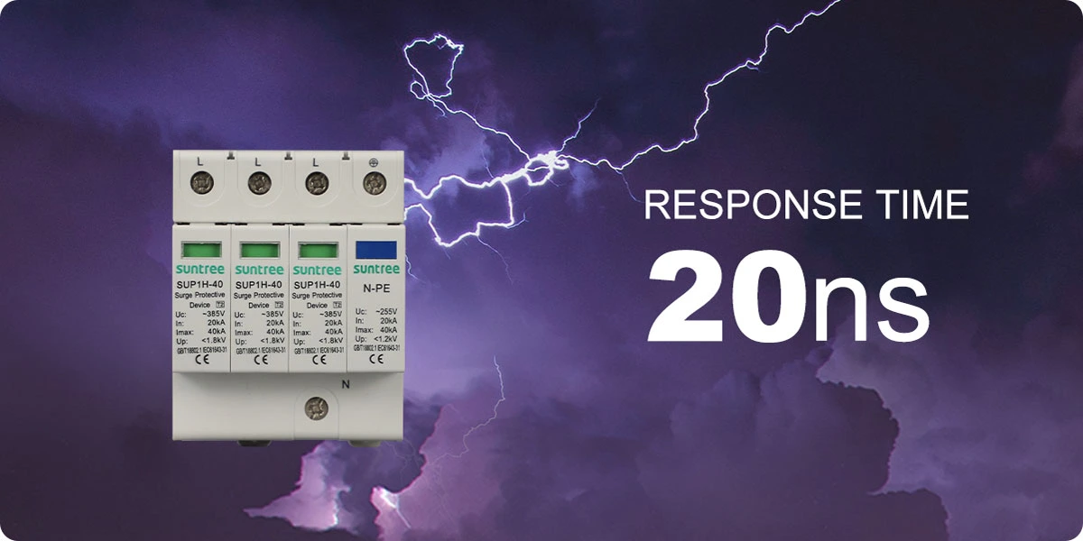 سرج ارستر سان تری suntree